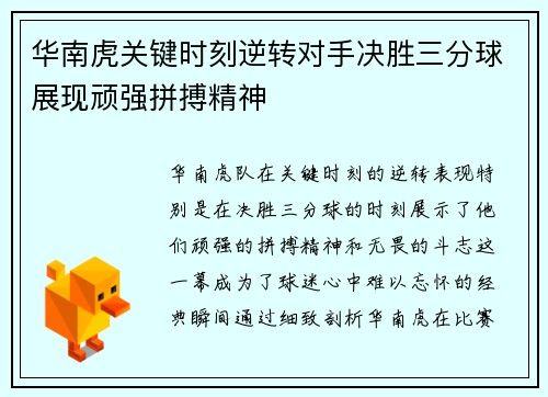 华南虎关键时刻逆转对手决胜三分球展现顽强拼搏精神