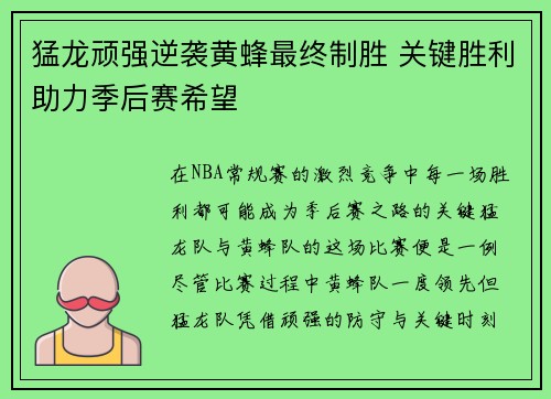 猛龙顽强逆袭黄蜂最终制胜 关键胜利助力季后赛希望